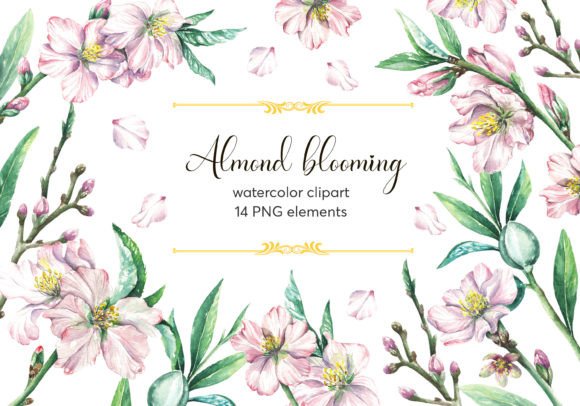 Elevating Digital Design with Almond Blooming Watercolor Clipart